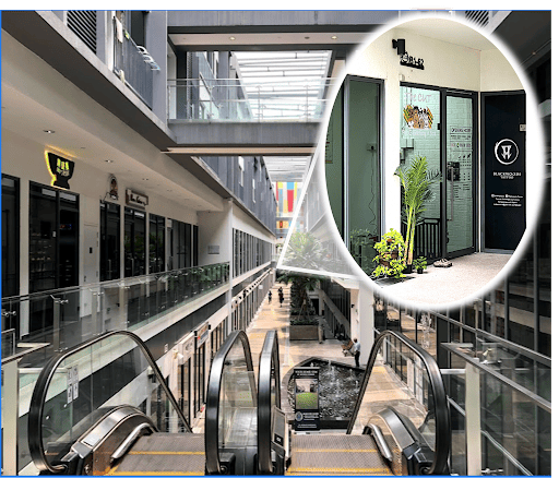 The Cut Pet Grooming & Spa