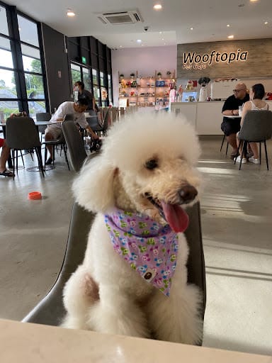 Wooftopia Pet Cafe