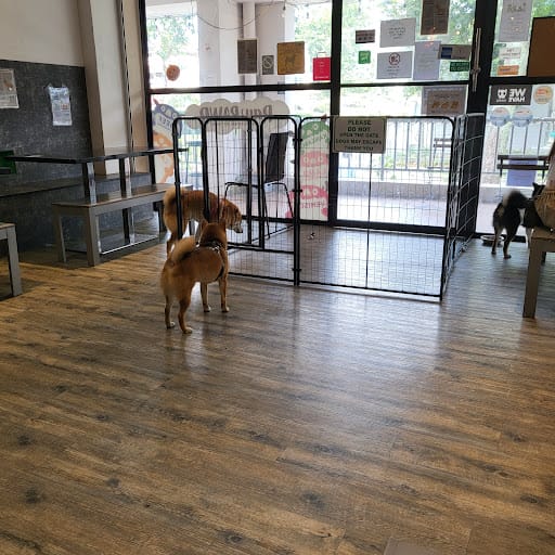 I.N.U Cafe & Boutique