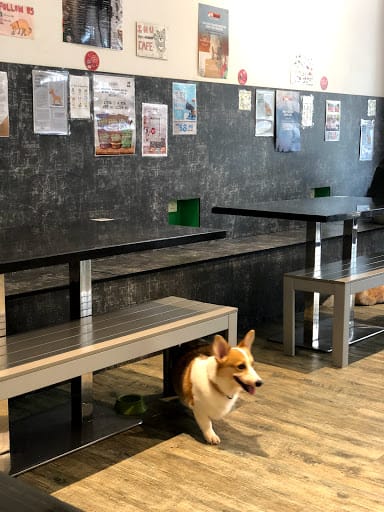 I.N.U Cafe & Boutique