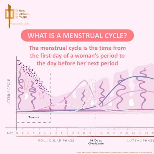 Bao Zhong Tang Premium TCM Centre