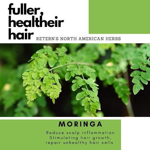 Retern Hair & Scalp Institute