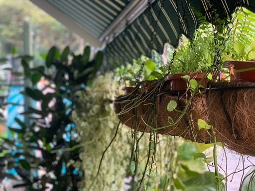 Jal Yoga Singapore (Upper Bukit Timah)