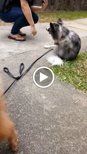 Ancient Dynasty Massage & Spa (Upper Thomson)