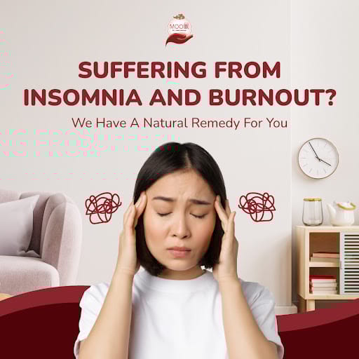 Moomin Deep Sleep Dry Head Massage (VivoCity)