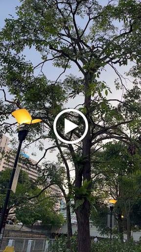 Mixology Salon Singapore