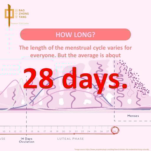 Bao Zhong Tang Premium TCM Centre