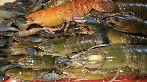 ATC Fishing Village @Jurong Hill