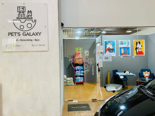 Pet's Galaxy Pte. Ltd. - Cat Grooming Specialist
