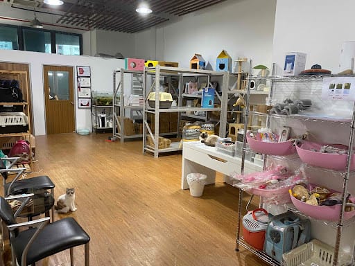 Pet's Galaxy Pte. Ltd. - Cat Grooming Specialist