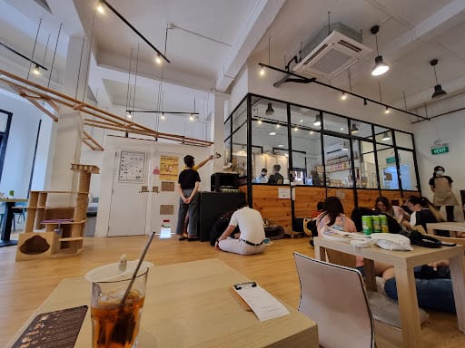 The Cat Cafe - Bugis