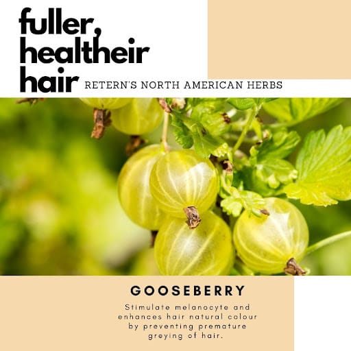 Retern Hair & Scalp Institute