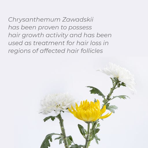 Retern Hair & Scalp Institute