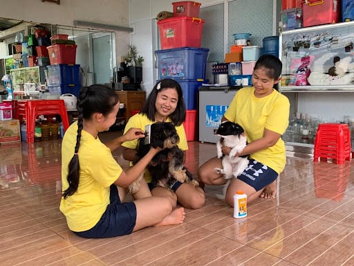 BESTMAID EMPLOYMENT PTE LTD