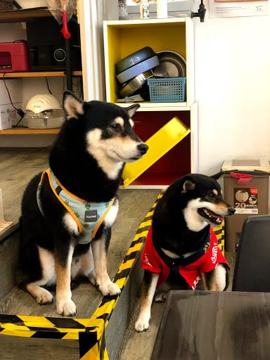 I.N.U Cafe & Boutique