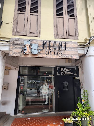 Meomi Cat Cafe