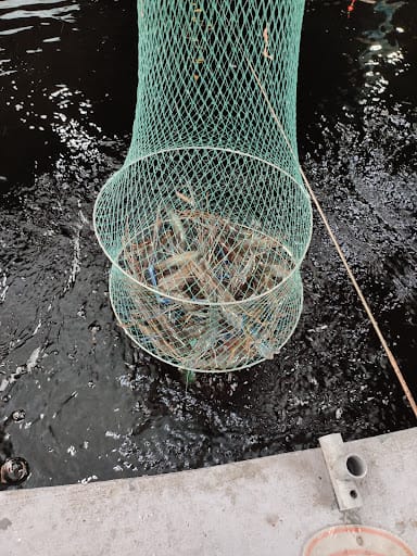 ATC Fishing Village @Jurong Hill