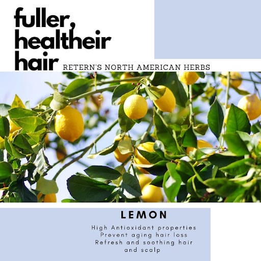 Retern Hair & Scalp Institute