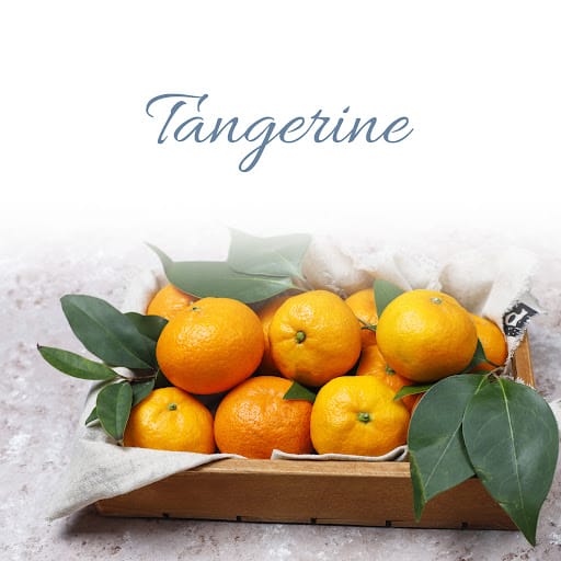 Retern Hair & Scalp Institute