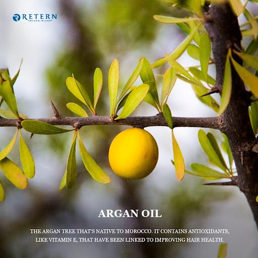 Retern Hair & Scalp Institute