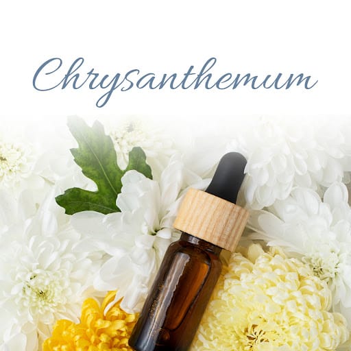 Retern Hair & Scalp Institute