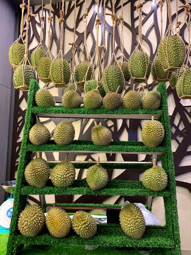 Musang King by Four Seasons Durians