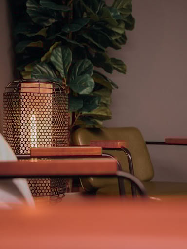 Terra Medical Hair & Aesthetic Clinic