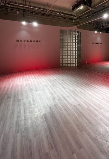 MOVEMENT Pole & Aerial Sport