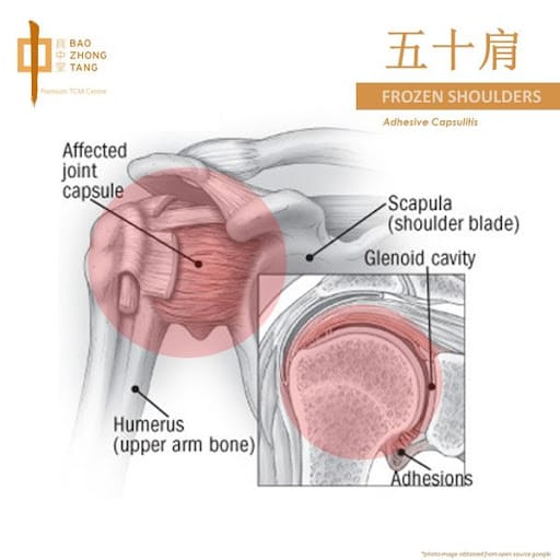 Bao Zhong Tang Premium TCM Centre