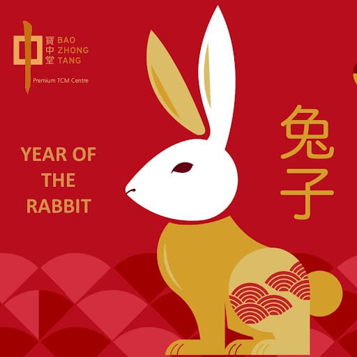 Bao Zhong Tang Premium TCM Centre