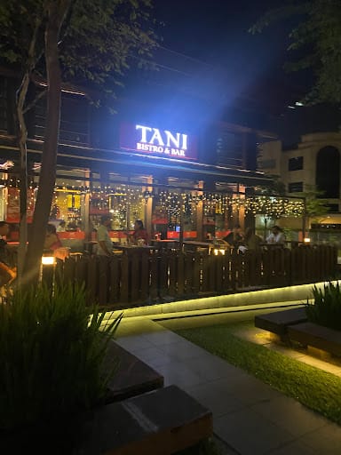 TANI Bistro & Bar | Authentic and Traditional Indian Restaurant | Affordable Indian Food