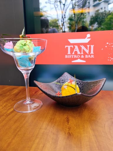 TANI Bistro & Bar | Authentic and Traditional Indian Restaurant | Affordable Indian Food
