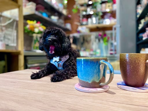 WakaMama - Star Vista