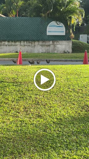 WakaMama - Star Vista