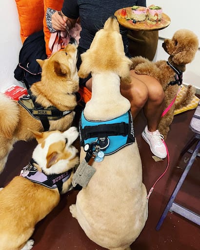 WakaMama - Star Vista