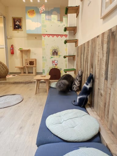 Meomi Cat Cafe