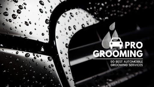 Progrooming Car Wash Services