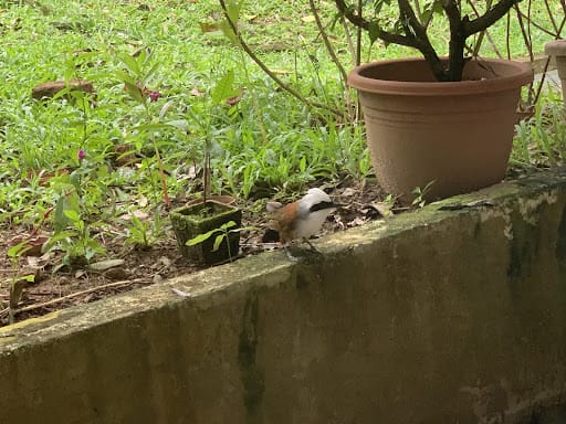 Zhizu Massage Centre 知足推拿中心