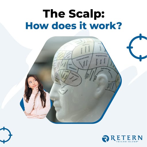 Retern Hair & Scalp Institute