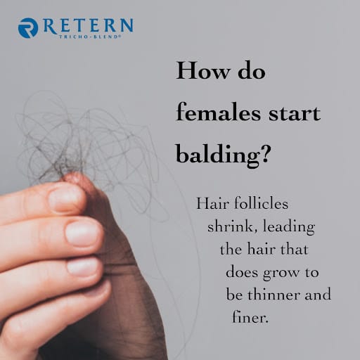 Retern Hair & Scalp Institute