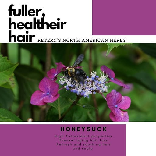 Retern Hair & Scalp Institute