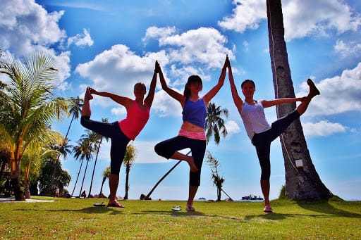 Yoga Seeds