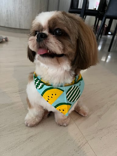 Pets' Mark