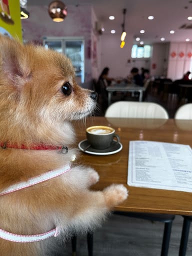 Menage Cafe