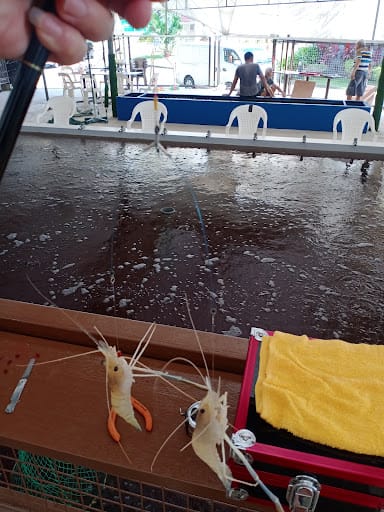 Ah Hua Fishing