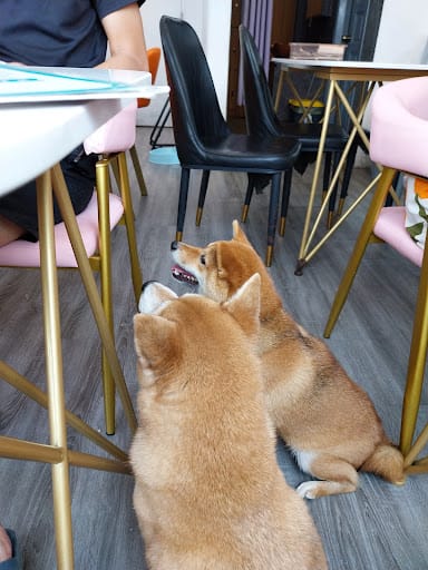 Menage Cafe