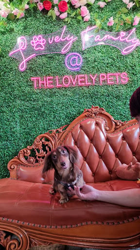 The Lovely Pets