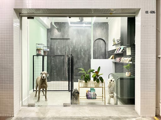 Dirty Dogs Pte Ltd
