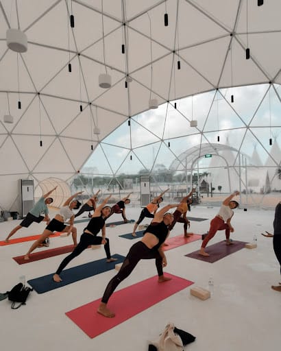 Yoga Seeds