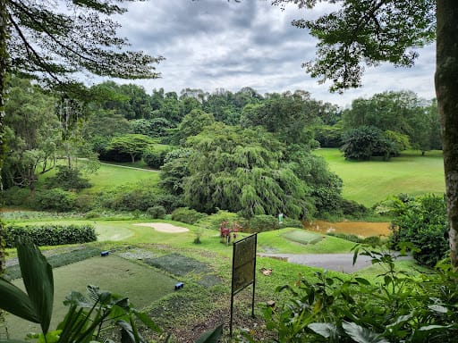 Picotin - Fairways